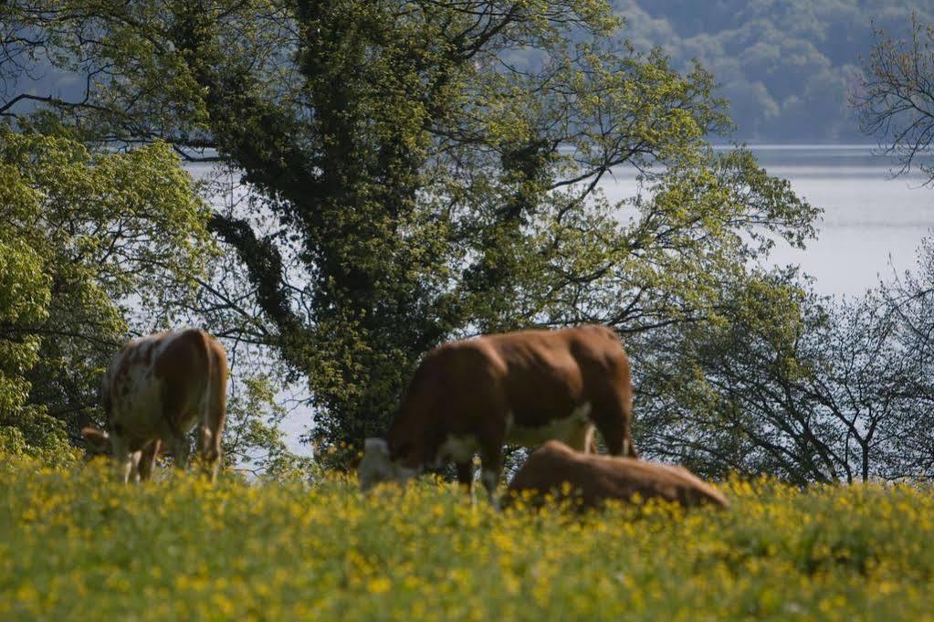 Hotel Seeblick Bernried am Starnberger See ภายนอก รูปภาพ